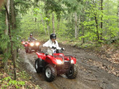 ... click me to see all the pictures from this Bear Claw Tours ATV Experience, Georgian Bay's Ultimate Adrenaline Adventure!