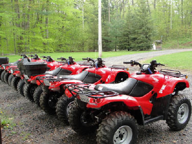 ... click me to see all the pictures from this Bear Claw Tours ATV Experience, Georgian Bay's Ultimate Adrenaline Adventure!
