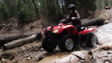 ... click me to see all the pictures from this Bear Claw Tours ATV Experience, Georgian Bay's Ultimate Adrenaline Adventure!