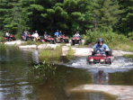 ... click me to see all the pictures from this Bear Claw Tours ATV Experience, Georgian Bay's Ultimate Adventure!