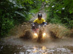 ... click me to see all the pictures from this Bear Claw Tours ATV Experience, Georgian Bay's Ultimate Adventure!