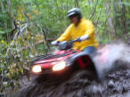 ... click me to see all the pictures from this Bear Claw Tours ATV Experience, Georgian Bay's Ultimate Adrenaline Adventure!