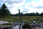 ... click me to see all the pictures from this Bear Claw Tours ATV Experience, Georgian Bay's Ultimate Adrenaline Adventure!