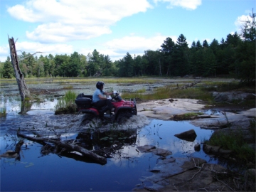 ... click me to see all the pictures from this Bear Claw Tours ATV Experience, Georgian Bay's Ultimate Adventure!