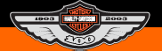 100th Anniversary logo