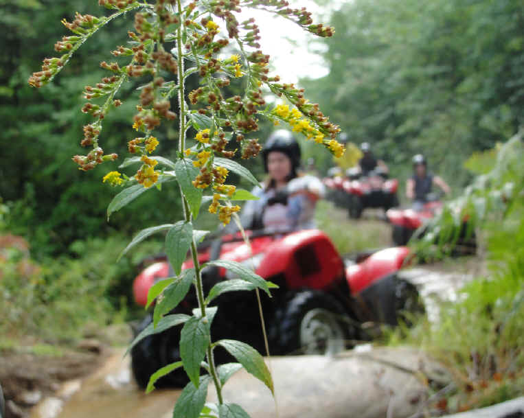 Parry Sound's Dirty Secret  ... click me to see all the pictures from this Bear Claw Tours ATV Experience, Georgian Bay's Ultimate Adrenaline Adventure