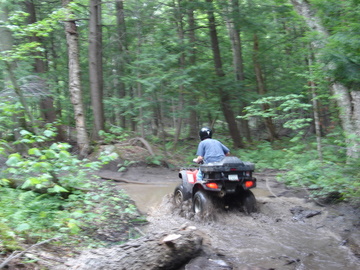 ... click me to see all the pictures from this Bear Claw Tours ATV Experience, Georgian Bay's Ultimate Adventure!