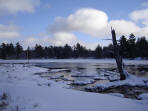 ... click me to see all the pictures from this Bear Claw Tours ATV Experience, Georgian Bay's Ultimate Adventure!