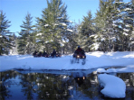 ... click me to see all the pictures from this Bear Claw Tours ATV Experience, Georgian Bay's Ultimate Adventure!