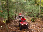 ... click me to see all the pictures from this Bear Claw Tours ATV Experience, Georgian Bay's Ultimate Adventure!