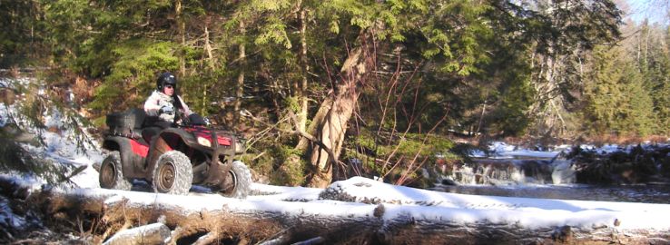 ... click me to see all the pictures from this Bear Claw Tours ATV Experience, Georgian Bay's Ultimate Adventure!