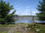 ... click me to see all the pictures from this Bear Claw Tours ATV Experience, Georgian Bay's Ultimate Adventure!