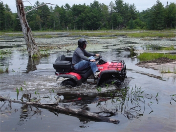 ... click me to see all the pictures from this Bear Claw Tours ATV Experience, Georgian Bay's Ultimate Adventure!