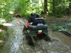... click me to see all the pictures from this Bear Claw Tours ATV Experience, Georgian Bay's Ultimate Adrenaline Adventure!