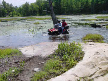 Bear Claw Tours Fly & Ride