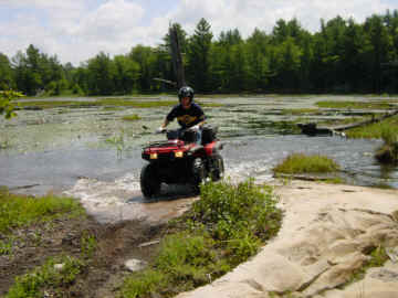 Bear Claw Tours Fly & Ride