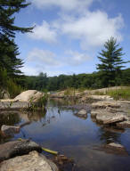 ... click me to see all the pictures from this Bear Claw Tours ATV Experience, Georgian Bay's Ultimate Adrenaline Adventure!