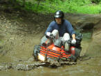 ... click me to see all the pictures from this Bear Claw Tours ATV Experience, Georgian Bay's Ultimate Adventure!