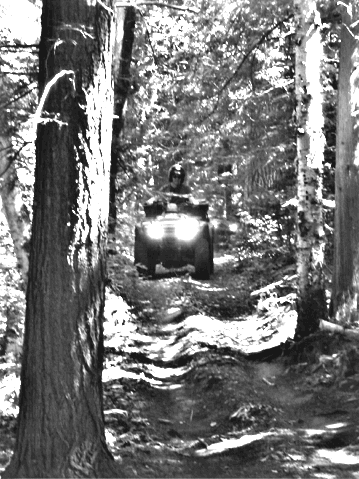 ... click me to see all the pictures from this Bear Claw Tours ATV Experience, Georgian Bay's Ultimate Adventure!