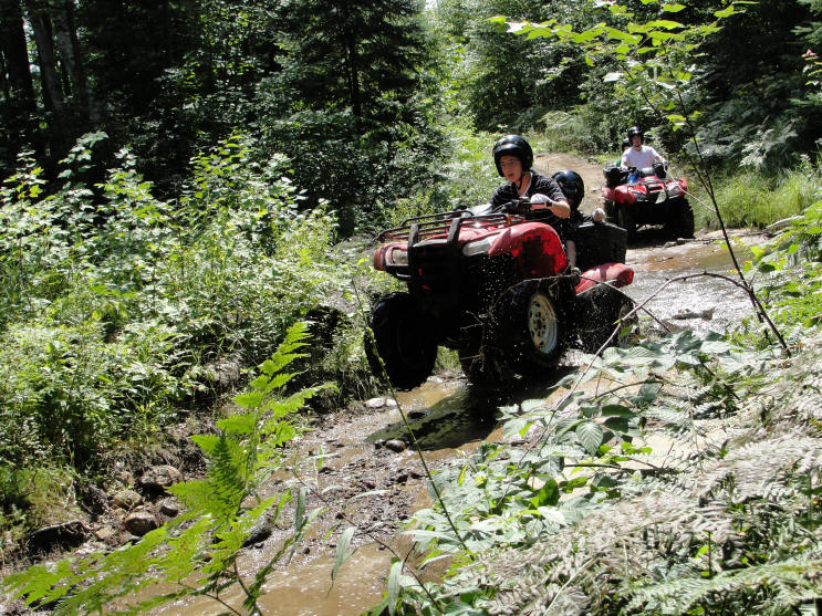 ... click me to see all the pictures from this Bear Claw Tours ATV Experience, Georgian Bay's Ultimate Adrenaline Adventure!