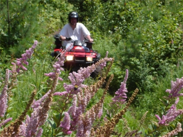 ... click me to see all the pictures from this Bear Claw Tours ATV Experience, Georgian Bay's Ultimate Adventure!