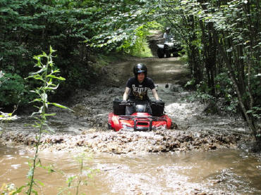 ... click me to see all the pictures from this Bear Claw Tours ATV Experience, Georgian Bay's Ultimate Adrenaline Adventure!