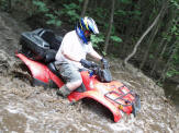 ... click me to see all the pictures from this Bear Claw Tours ATV Experience, Georgian Bay's Ultimate Adrenaline Adventure!