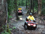 ... click me to see all the pictures from this Bear Claw Tours ATV Experience, Georgian Bay's Ultimate Adventure!