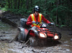 ... click me to see all the pictures from this Bear Claw Tours ATV Experience, Georgian Bay's Ultimate Adventure!