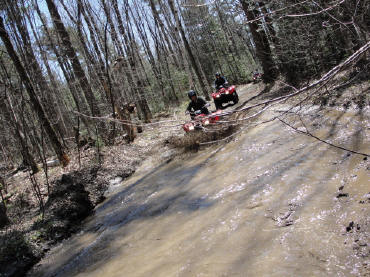 ... click me to see all the pictures from this Bear Claw Tours ATV Experience, Georgian Bay's Ultimate Adrenaline Adventure!