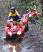 ... click me to see all the pictures from this Bear Claw Tours ATV Experience, Georgian Bay's Ultimate Adrenaline Adventure!
