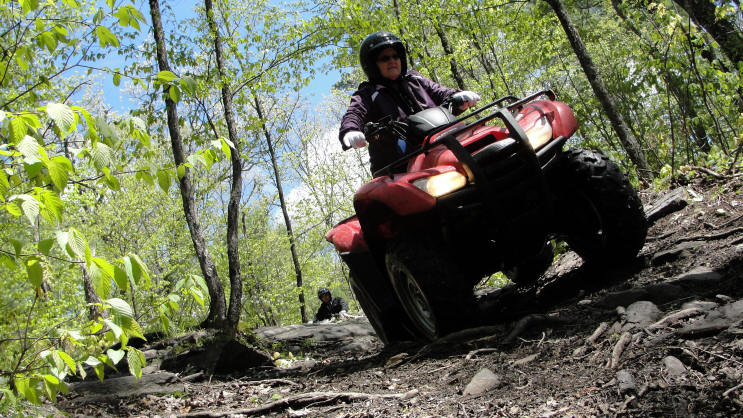 ... click me to see all the pictures from this Bear Claw Tours ATV Experience, Georgian Bay's Ultimate Adrenaline Adventure!