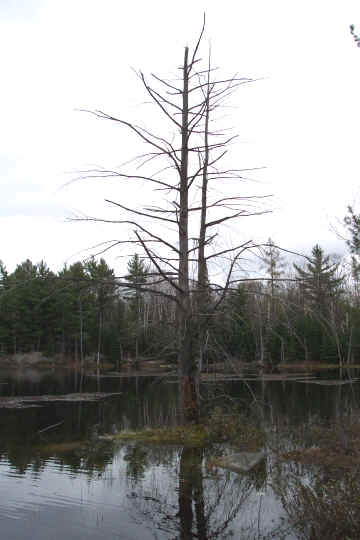 Tour 037.jpg (404151 bytes)
