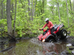 ... click me to see all the pictures from this Bear Claw Tours ATV Experience, Georgian Bay's Ultimate Adventure!