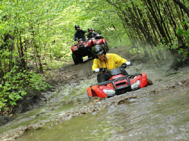 ... click me to see all the pictures from this Bear Claw Tours ATV Experience, Georgian Bay's Ultimate Adrenaline Adventure!