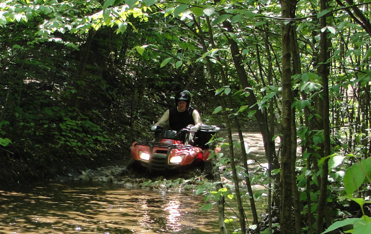 ... click me to see all the pictures from this Bear Claw Tours ATV Experience, Georgian Bay's Ultimate Adrenaline Adventure!