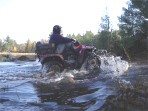... click me to see all the pictures from this Bear Claw Tours ATV Experience, Georgian Bay's Ultimate Adventure!
