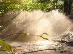 ... click me to see all the pictures from this Bear Claw Tours ATV Experience, Georgian Bay's Ultimate Adventure!