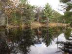 ... click me to see all the pictures from this Bear Claw Tours ATV Experience, Georgian Bay's Ultimate Adventure!
