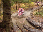 ... click me to see all the pictures from this Bear Claw Tours ATV Experience, Georgian Bay's Ultimate Adventure!
