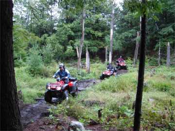 ... click me to see all the pictures from this Bear Claw Tours ATV Experience, Georgian Bay's Ultimate Adventure!