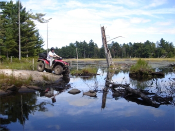... click me to see all the pictures from this Bear Claw Tours ATV Experience, Georgian Bay's Ultimate Adventure!