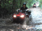 ... click me to see all the pictures from this Bear Claw Tours ATV Experience, Georgian Bay's Ultimate Adventure!