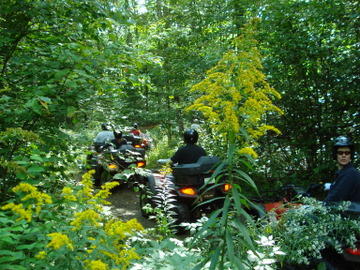 ... click me to see all the pictures from this Bear Claw Tours ATV Experience, Georgian Bay's Ultimate Adventure!