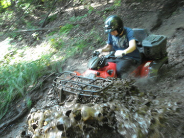 ... click me to see all the pictures from this Bear Claw Tours ATV Experience, Georgian Bay's Ultimate Adventure!