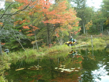 ... click me to see all the pictures from this Bear Claw Tours ATV Experience, Georgian Bay's Ultimate Adventure!